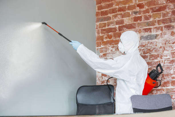 Best Water Damage & Mold Remediation  in Lechee, AZ