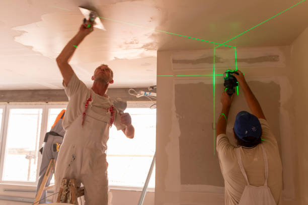Trusted Lechee, AZ Mold Removal Experts